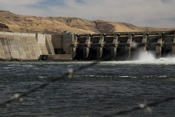 Free the Snake River