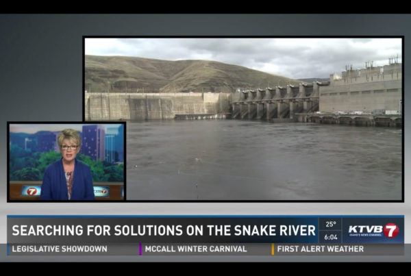 ktvb-7-save-snake-river-steelhead-salmon