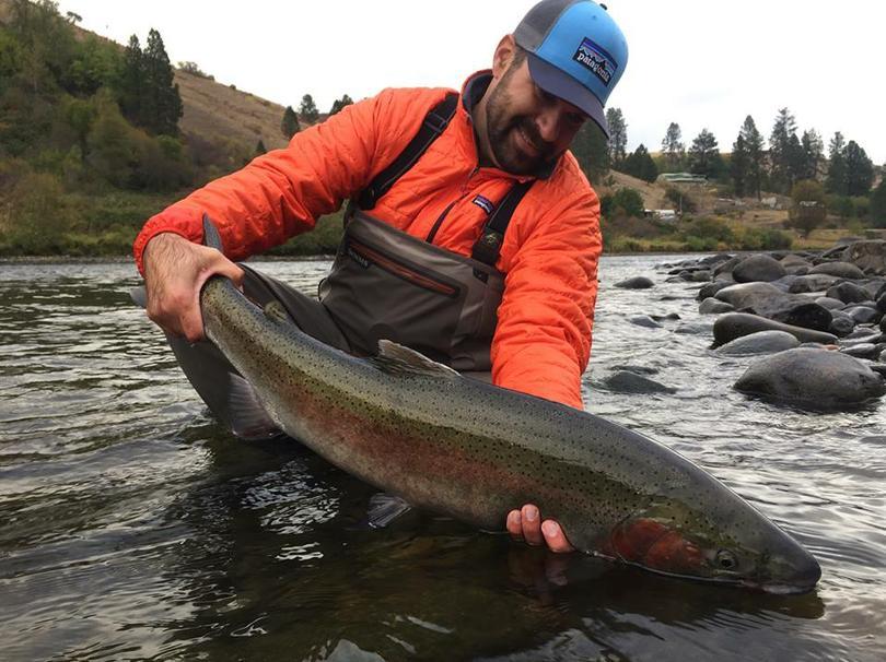 Fisheries managers move to protect B-run Washington, Oregon mull rolling closures, while Idaho adopts wait-and-see policy