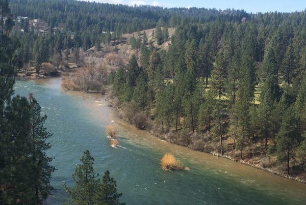 mouth Hangman Creek dumping sediment in Spokane River
