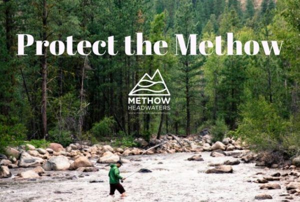 Protect the Methow