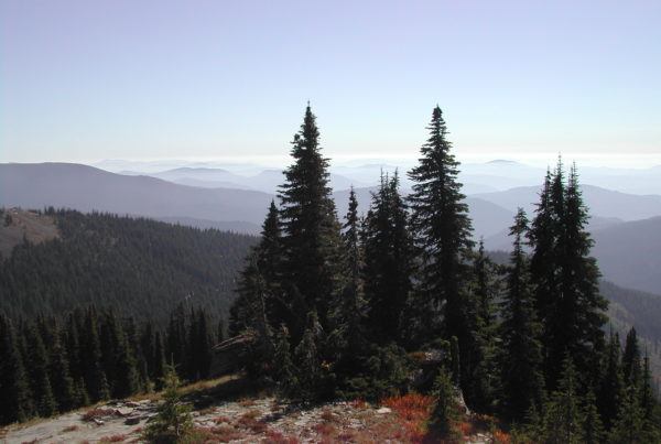 the Nez Perce – Clearwater National Forests