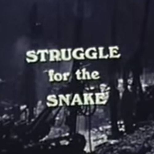 Struggle for the Snake