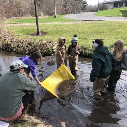 Stream Girls 2019 water ecology