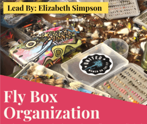 SWOTF fly box organization