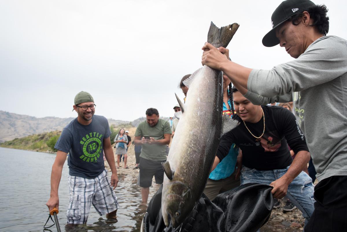 Salmon Upper Columbia release photo by Eli Francovich