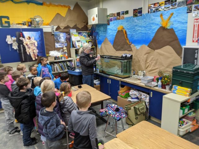Students at Roosevelt Elementary school in Spokane watch as Hilary Hart drops trout eggs into the tank