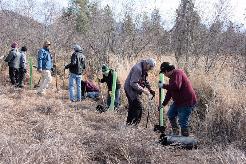 TU Volunteers planting trees with CDA tribe on upper Hangman Creek fall 2019